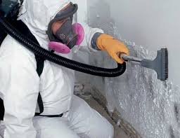 Best Attic Mold Removal in New Cassel, NY